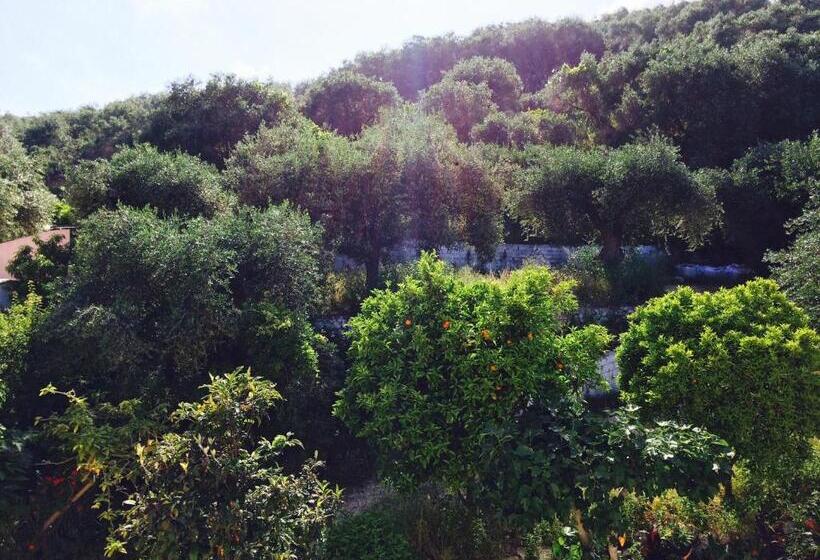 ３ベッドルームアパートメント, Avra Sea View Paradise Pool Apartments