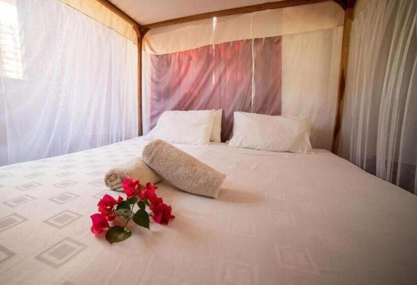 اتاق استاندارد, Thumbi View Lodge
