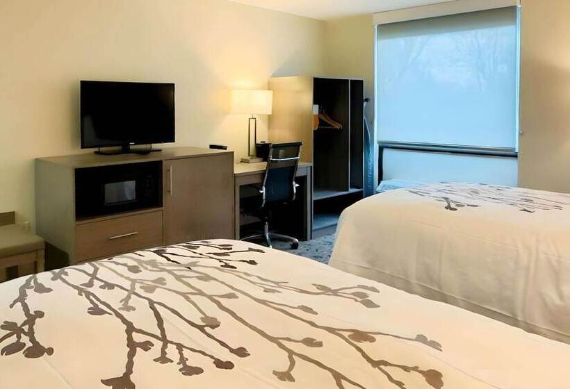 Номер Стандарт 2 Двуспальные Кровати, Sleep Inn
