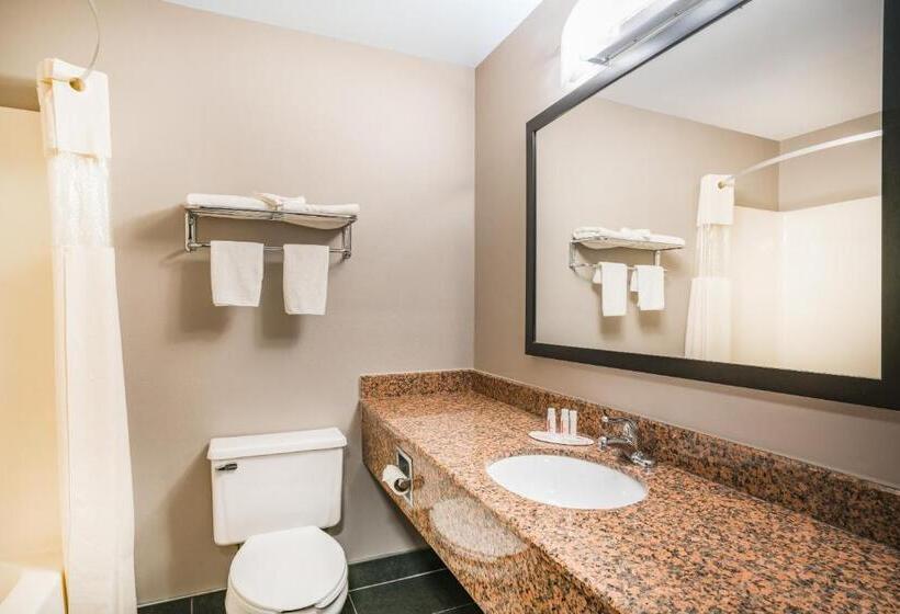 스탠다드 룸 킹사이즈 침대, Days Inn & Suites By Wyndham Wausau