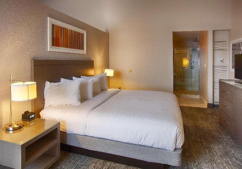 带大床的标准间, Doubletree By Hilton Denver Westminster