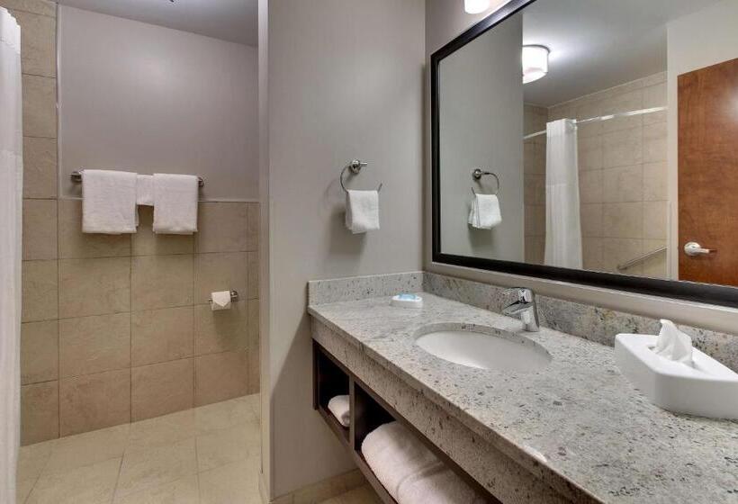 Студио Стандарт Кровать Кинг, Drury Plaza Hotel Savannah Pooler