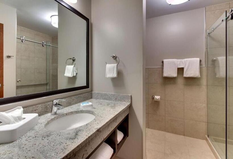 Номер Deluxe Адаптированный для Инвалидов, Drury Plaza Hotel Savannah Pooler