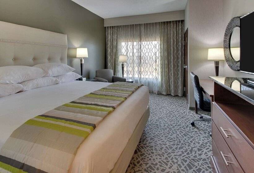 障害者適応デラックスルーム, Drury Plaza Hotel Savannah Pooler