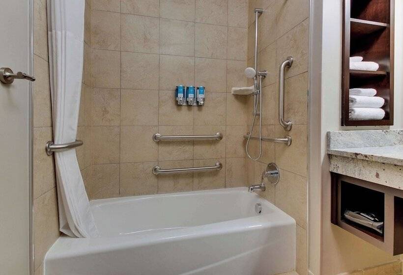 اتاق لوکس, Drury Plaza Hotel Savannah Pooler