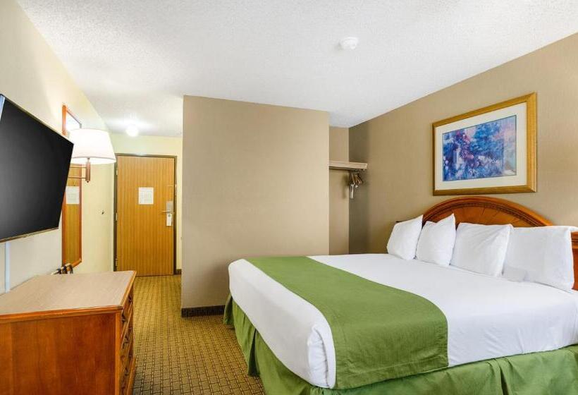 带大床的套房, Cheyenne Guest Inn