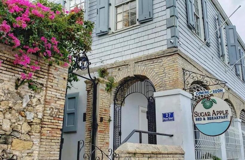 اتاق سوپریور با تخت بزرگ, Sugar Apple Bed And Breakfast