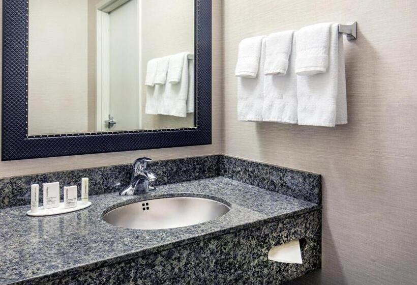 스탠다드 룸 킹사이즈 침대, Fairfield Inn & Suites Lancaster