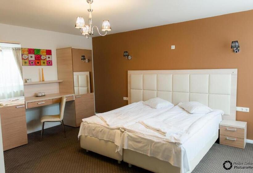 Superior Kamer, Pensiunea Schwartz