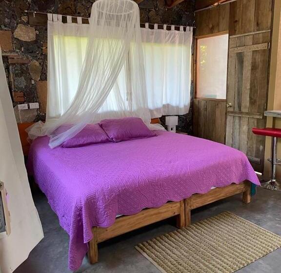 Студия Стандарт, Boutique Bacaanda
