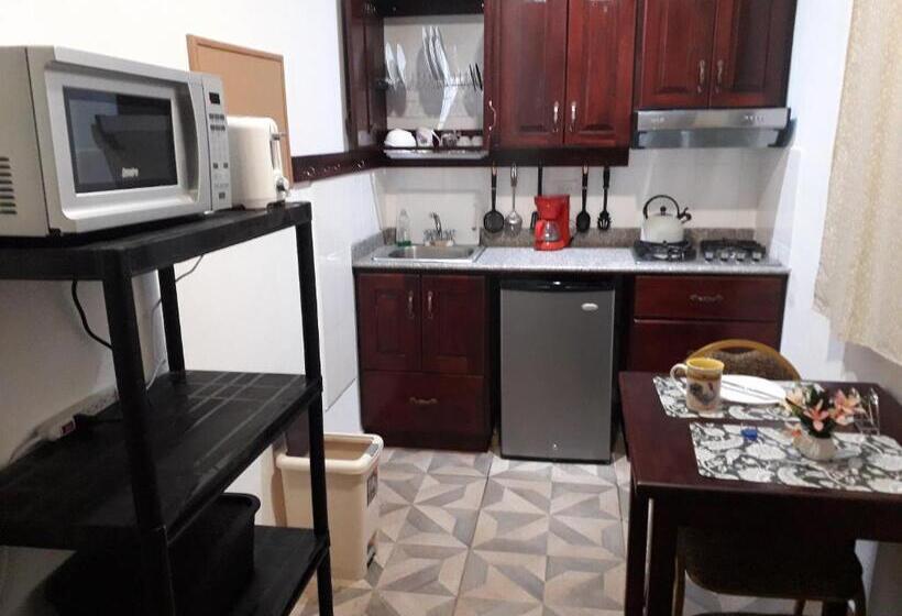 标准间带露台, Aparthotel Boquete Apartments