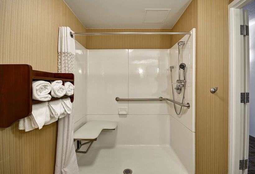 Номер Стандарт Адаптированный для Инвалидов, Hampton Inn Detroit/northville