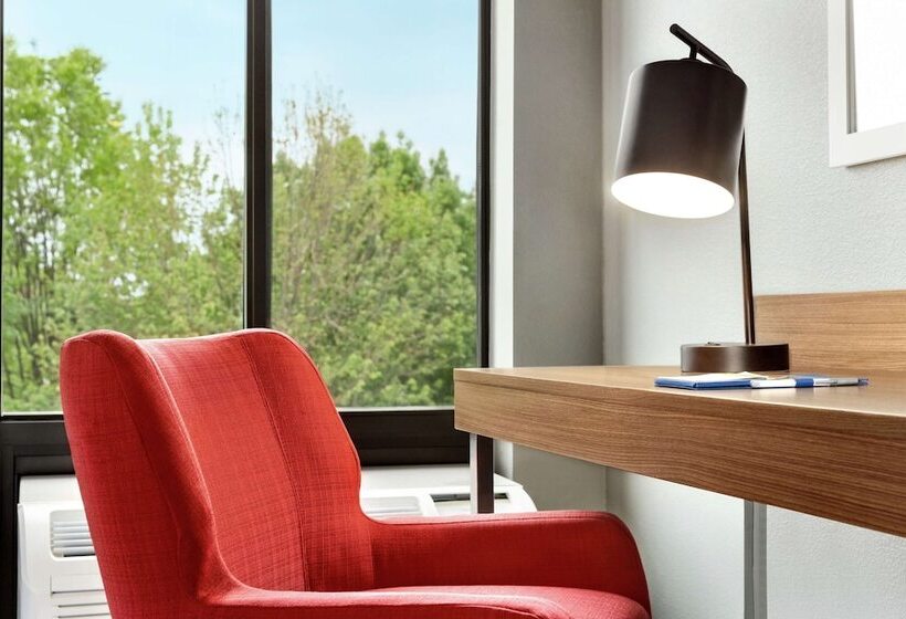 장애인을 위한 스탠다드 룸, Hampton Inn Kansas City/blue Springs