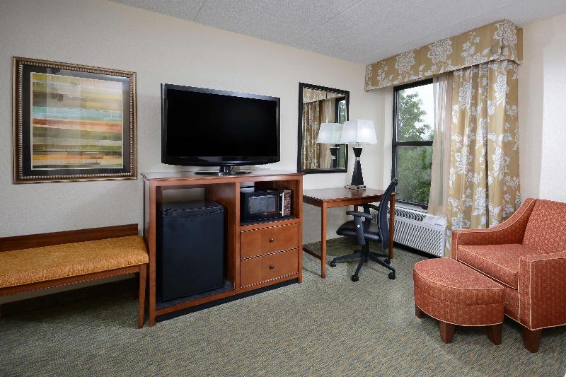 스탠다드 룸 킹사이즈 침대, Hampton Inn Raleigh Durham Airport