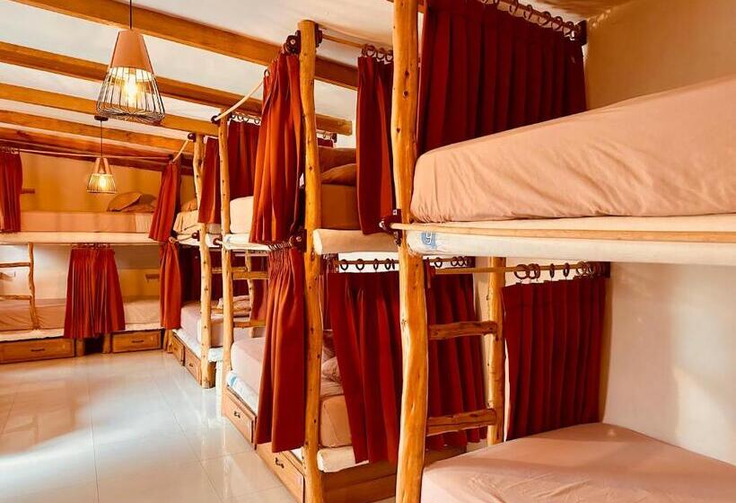 تختخواب در اتاق مشترک, Sababa Resort