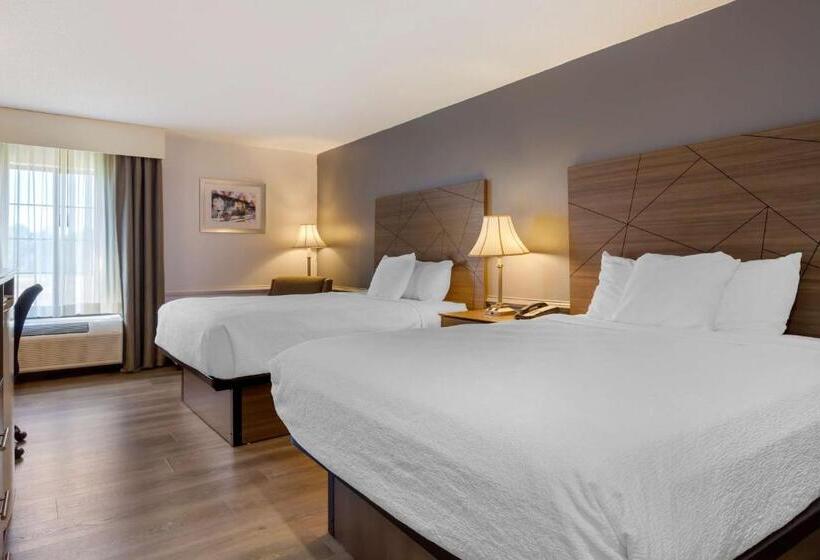 Номер Стандарт Адаптированный для Инвалидов, Best Western Plus South Hill Inn