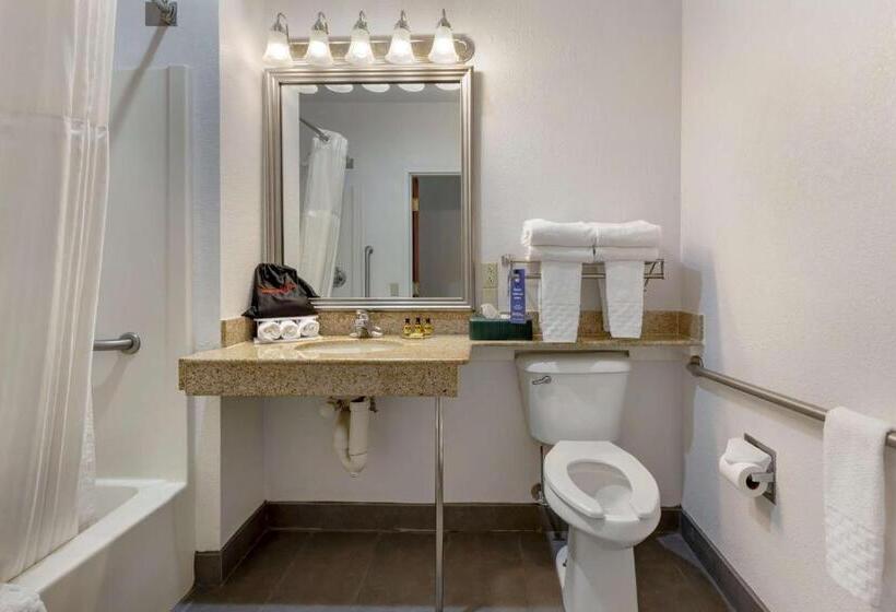 Номер Стандарт Кровать Кинг Адаптированный для Инвалидов, Best Western Plus South Hill Inn