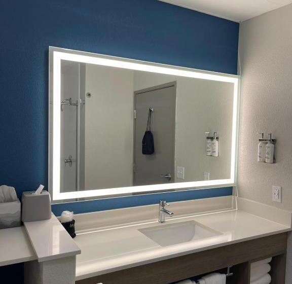Стандартный Номер Кровать Кинг, Holiday Inn Express Hotel & Suites Hiawassee, An Ihg