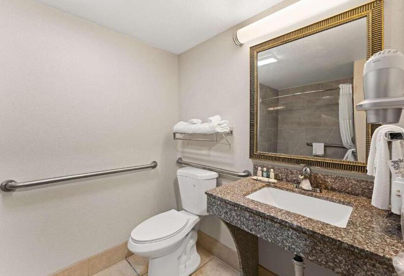 Номер Стандарт Кровать Кинг Адаптированный для Инвалидов, Quality Inn Sandersville