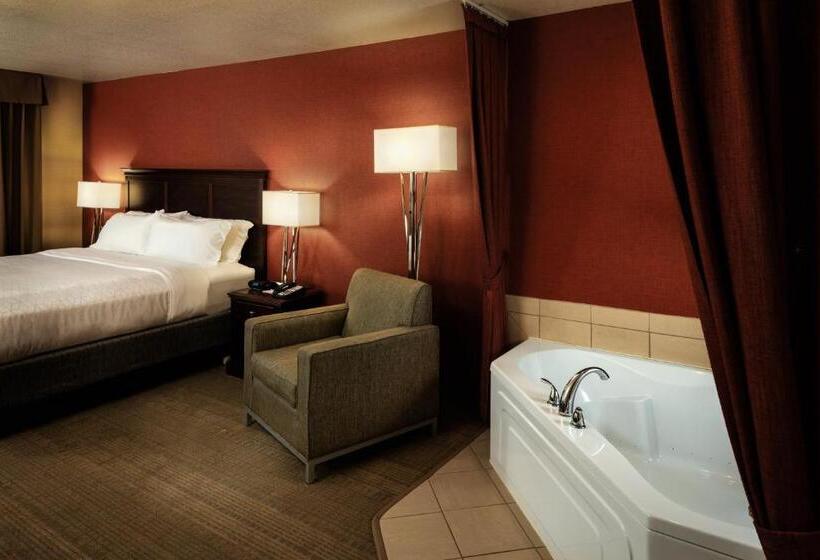 キングサイズベッドのスタンダードルーム, Hampton Inn Pullman
