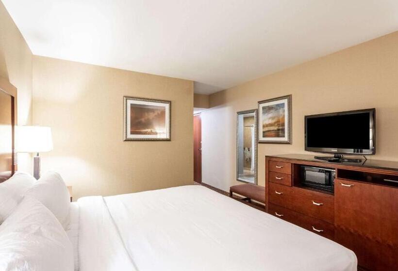 اتاق استاندارد با تخت بزرگ, The Grand Hotel, Ascend Hotel Collection