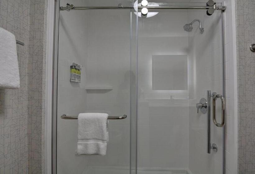套房, Holiday Inn Express & Suites   Greenville   Taylors, An Ihg