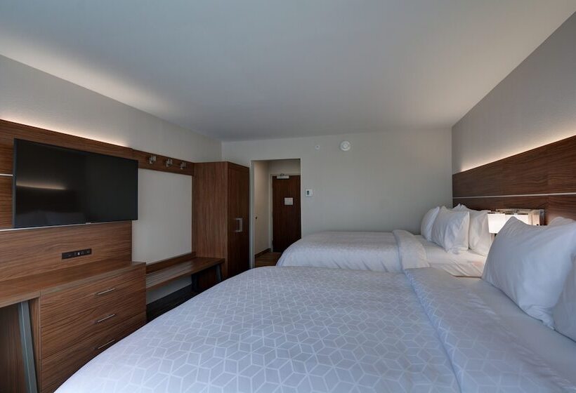 适合残疾人士使用的套间, Holiday Inn Express & Suites   Greenville   Taylors, An Ihg