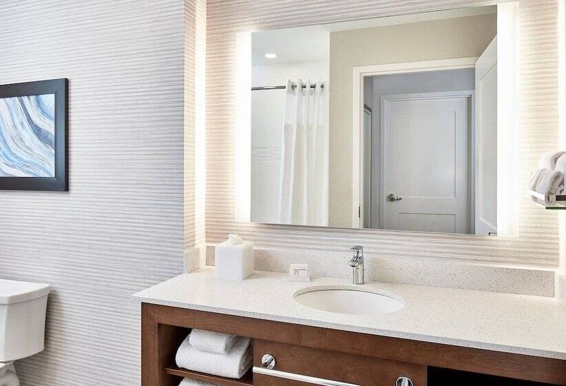 Студия Стандарт Двуспальная Кровать, Residence Inn St. Petersburg Tierra Verde