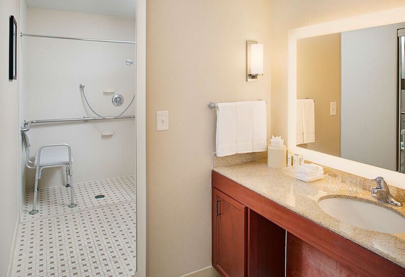 Suite Adaptada per a persones amb mobilitat reduïda, Homewood Suites By Hilton San Antonio Riverwalk/downtown