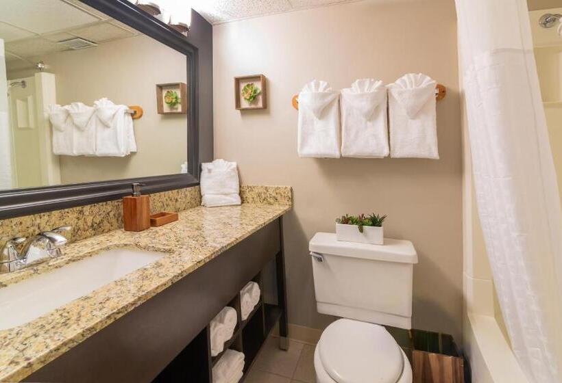 Четырехместный Номер Стандарт с Балконом, Expedition Lodge Estes Park