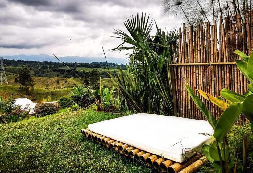 디럭스 룸, Ecohotel Monte Tierra Habitaciones Y Glamping