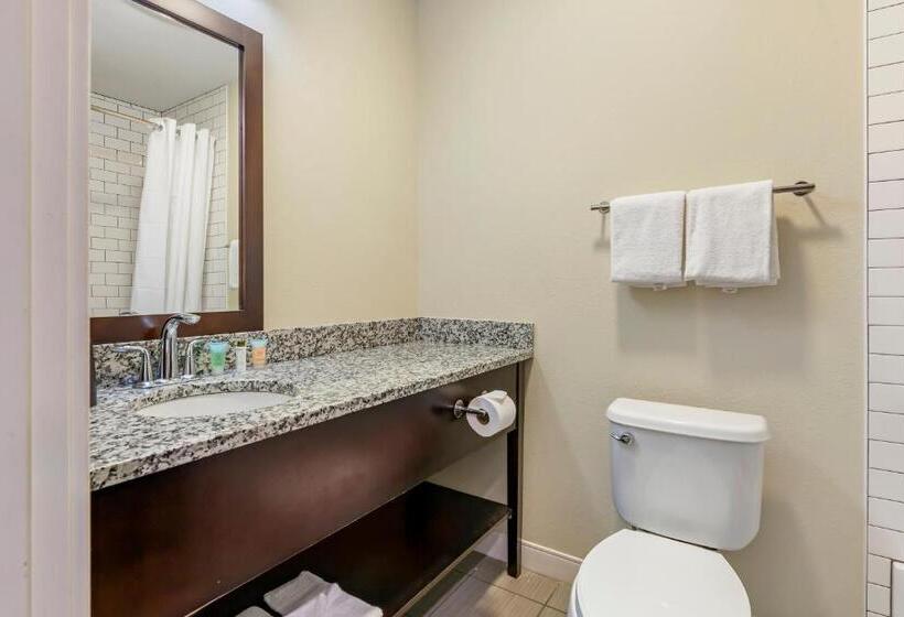 סוויטה דלוקס, Polynesian Hotel & Suites Wisconsin Dells/lake Delton