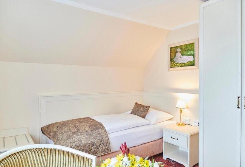 اتاق لوکس یک تخته, Spa Hotel Centrum