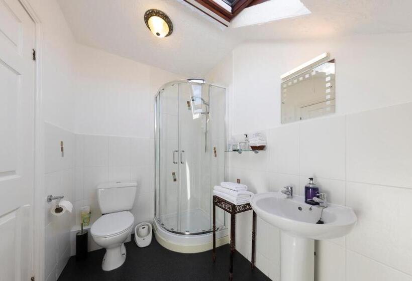 Номер Стандарт Индивидуальный, Wynnstay House