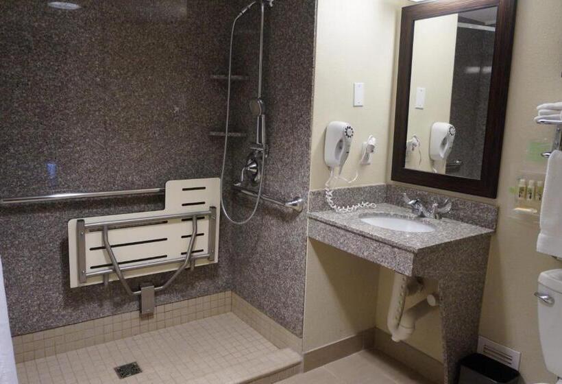 Номер Стандарт Адаптированный для Инвалидов, Holiday Inn Portsmouth Downtown, An Ihg