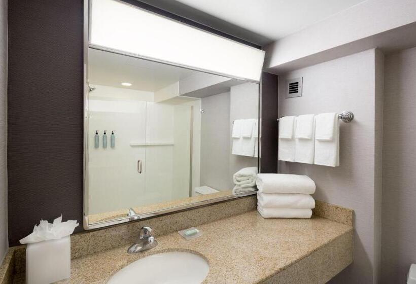 Стандартный Номер Кровать Кинг, Courtyard Shelton