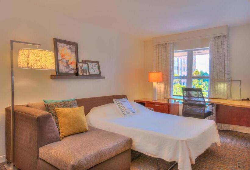 Suíte para Deficientes Físicos, Residence Inn Atlanta Buckhead/lenox Park