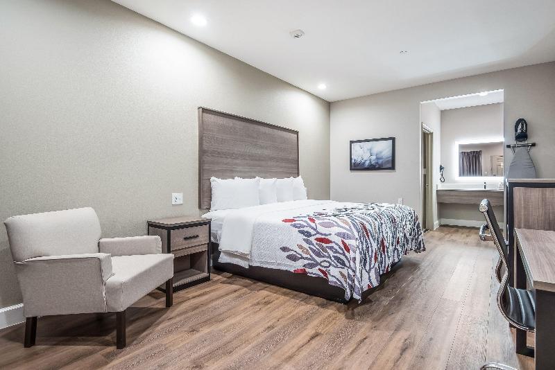 חדר דחוקס עם מיטת קינג, Red Roof Inn Baytown