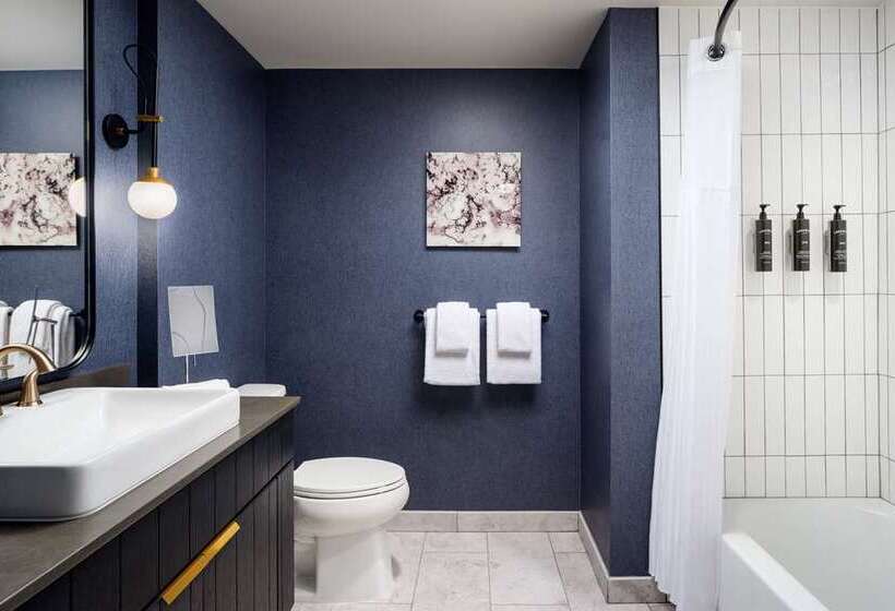 Стандартный Номер Кровать Кинг, Canopy By Hilton Dallas Frisco Station, Tx