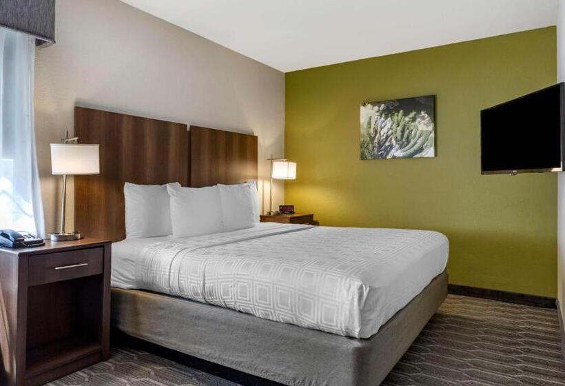 اتاق استاندارد با تخت بزرگ, Best Western North Phoenix