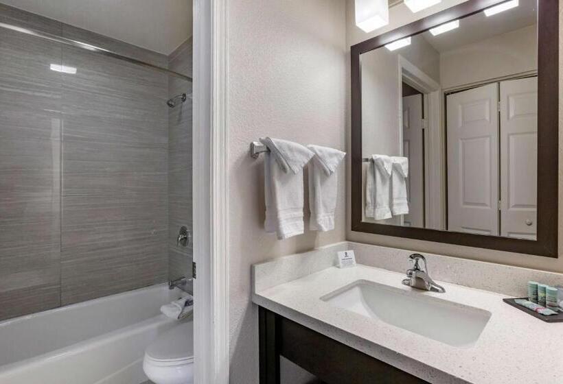 اتاق استاندارد با تخت بزرگ, Best Western North Phoenix