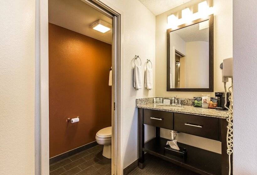Номер Стандарт 2 Двуспальные Кровати, Sleep Inn Springfield South I60 Near Medical District