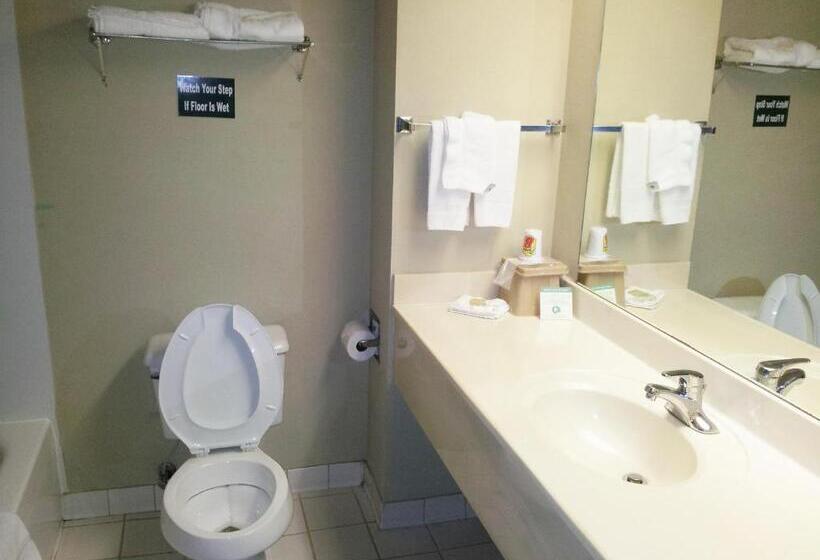 Стандартный Номер Кровать Кинг, Namaste Inn & Suites Dawsonville