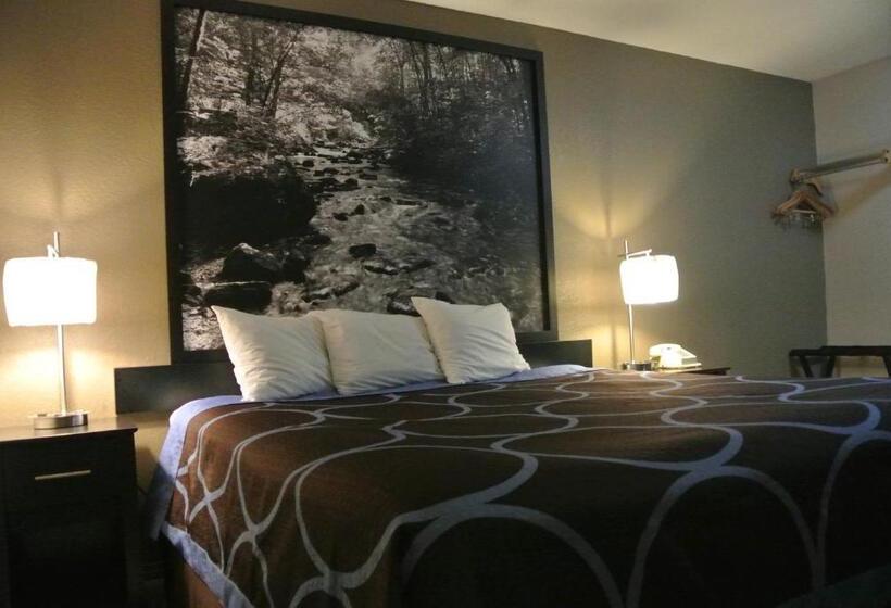스탠다드 룸 킹사이즈 침대, Super 8 By Wyndham Cortez/mesa Verde Area