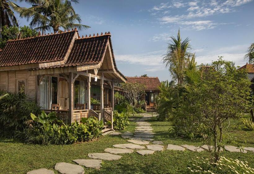 수피리어 룸, Green Space Villa
