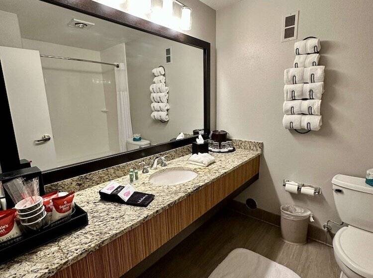 Номер Стандарт Двуспальная Кровать, Best Western Vista Inn
