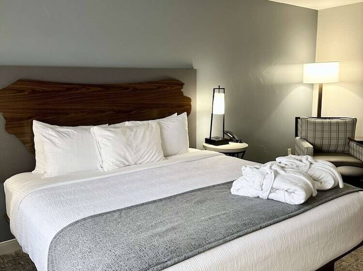 Номер Стандарт Двуспальная Кровать, Best Western Vista Inn