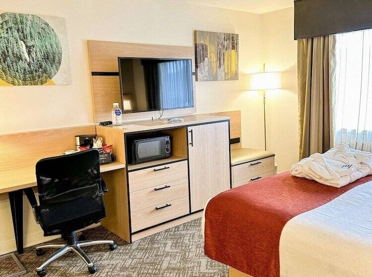 Номер Стандарт Двуспальная Кровать, Best Western Vista Inn