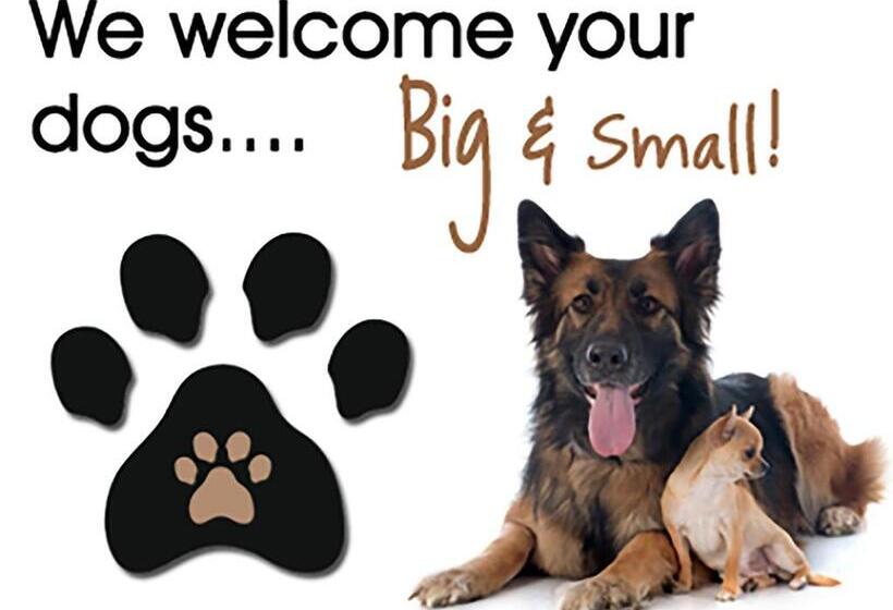 Стандартный Номер Кровать Кинг, Westcliff Lodge