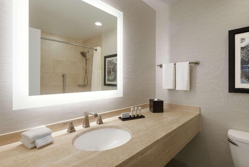 带大床的套房, Embassy Suites By Hilton Philadelphia Valley Forge